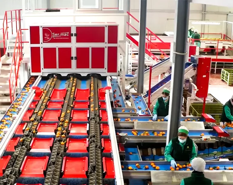 Sermac, Sermac fruit machinery, Fruit machinery, Industrial fruit machinery, Fruit machinery for sale