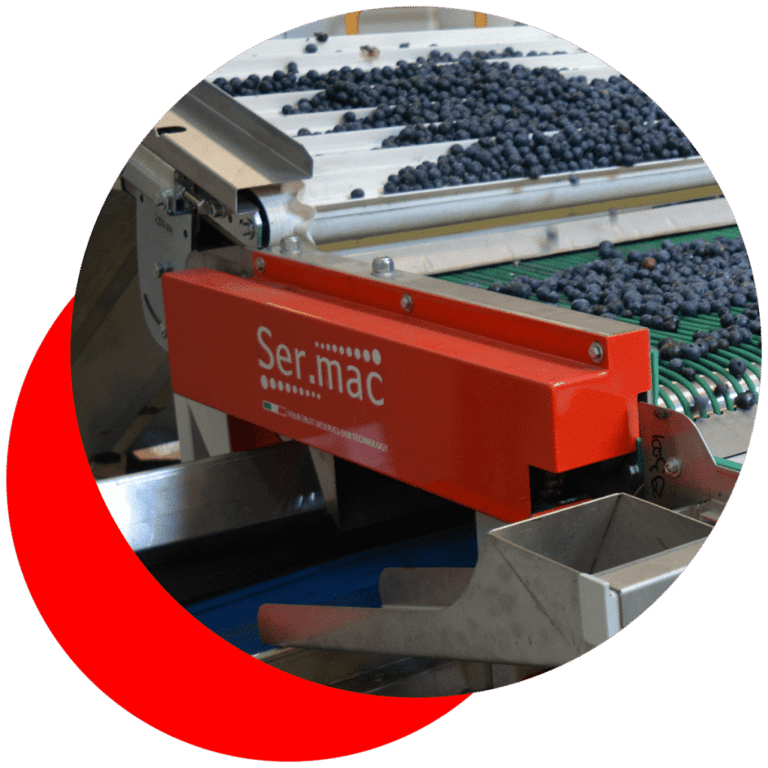 Sermac, Sermac fruit machinery, Fruit machinery, Industrial fruit machinery, Fruit machinery for sale